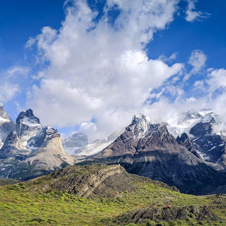 Entre viñedos de la Patagonia Argentina - Wine.com.mx