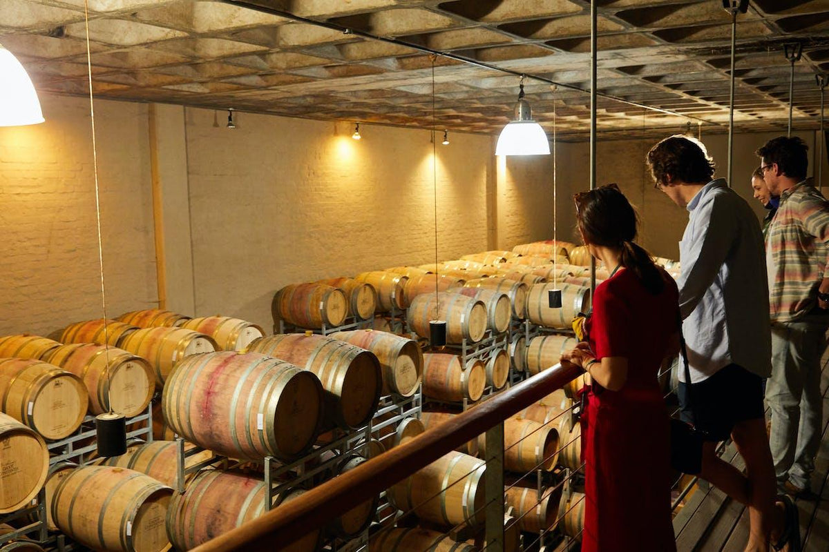 ¿Cómo se hace el vino? - Wine.com.mx