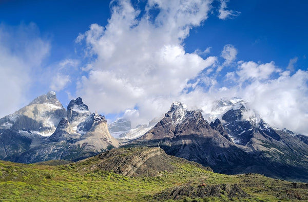 Entre viñedos de la Patagonia Argentina - Wine.com.mx