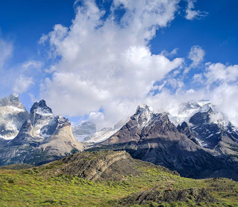 Entre viñedos de la Patagonia Argentina - Wine.com.mx