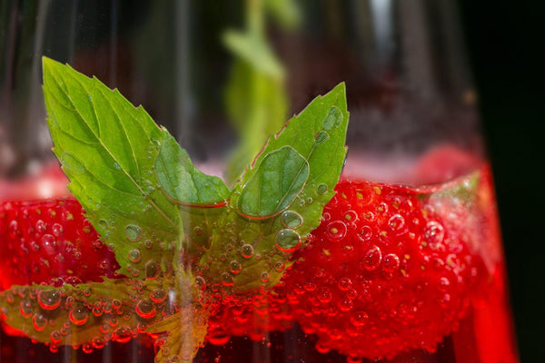 ¿Qué Lleva el Ponche? El Secreto de una Bebida Tradicional - Wine.com.mx
